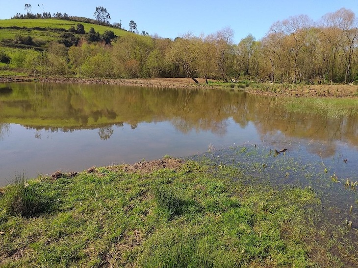 Asturias. Mas ilegalidades en el embalse de San Andrés de los Tacones