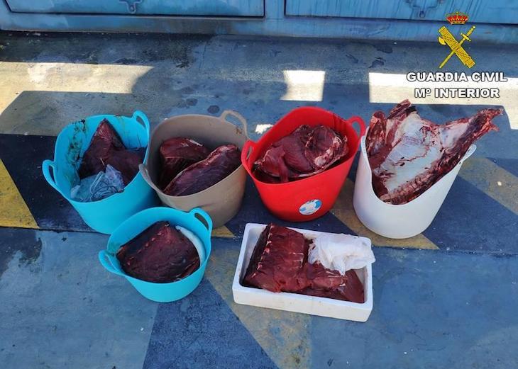 Pescando atún rojo ilegalmente entre Xàbia y Dénia