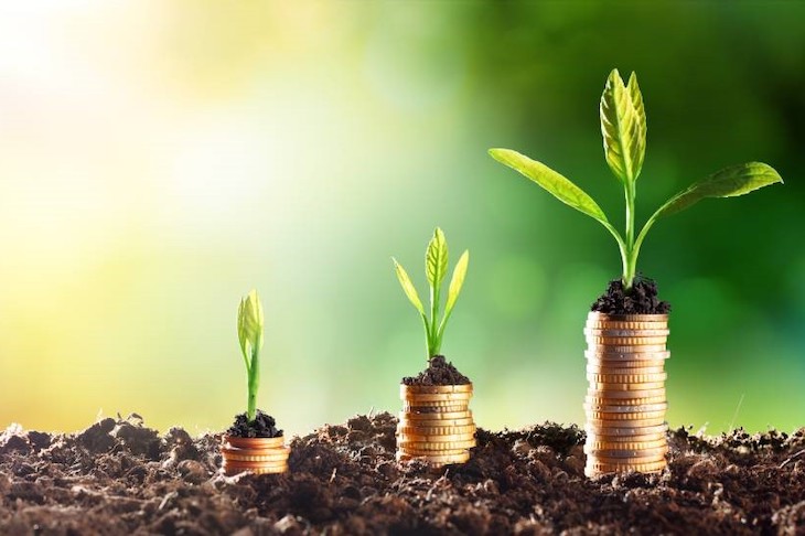 #MentoringEmprendeverde te ayuda a convertir tu idea en una empresa verde