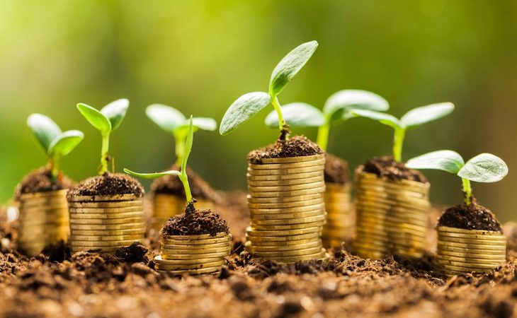 El extraordinario papel que tendrá el agua en la transición verde