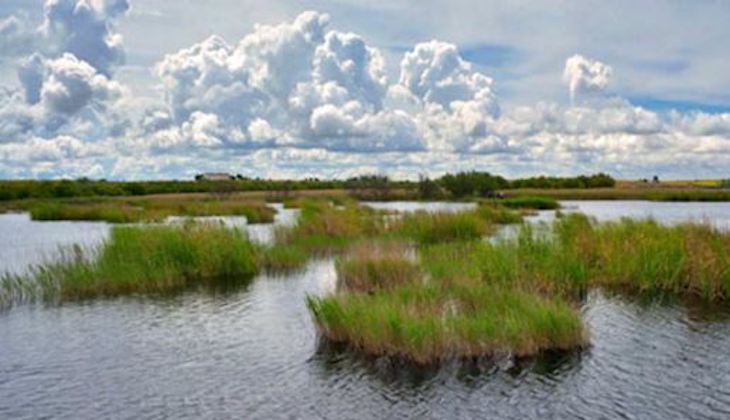 Reclamamos una reducción drástica de la extracción de agua y la recuperación del acuífero sobreexplotado que alimenta al Parque Nacional de Las Tablas de Daimiel antes de transferirlo a Castilla-La Mancha