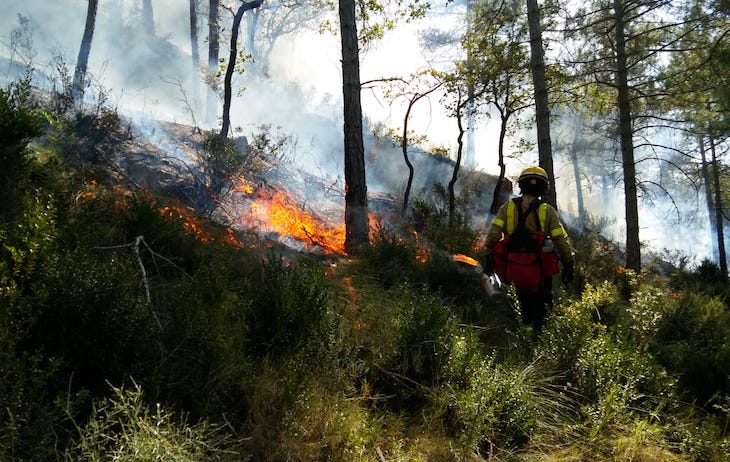 Medio ambiente. Los incendios controlados reducen el riesgo de sufrir grandes incendios forestales
