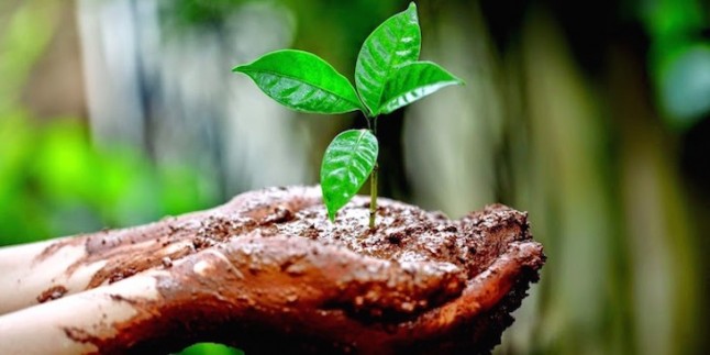 La BIODIVERSIDAD se esfuma