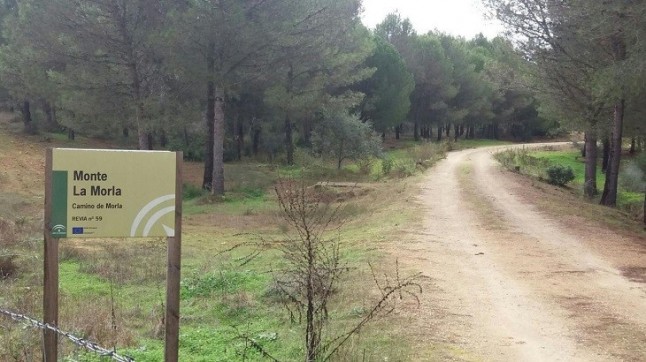 Ayer fue el ‘Día de las Vías Pecuarias’