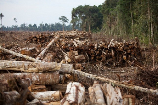 WWF exige a todos los Gobiernos del mundo un plan urgente para detener la pérdida de biodiversidad