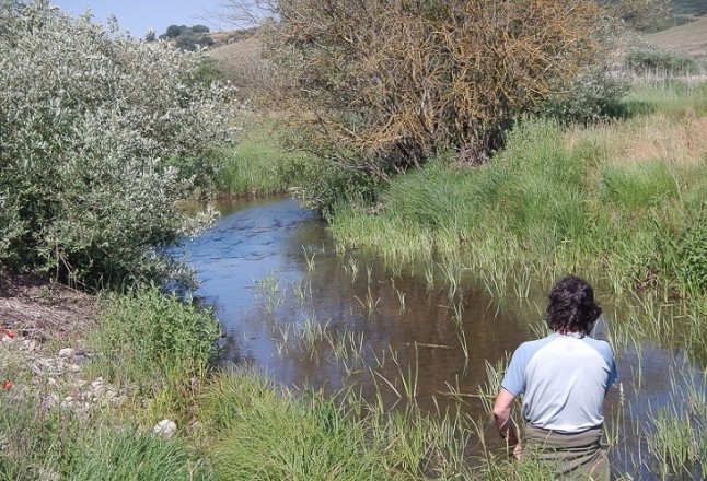 Limpiando la red fluvial de cauces de San Bartolomé