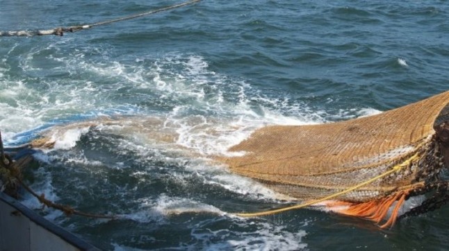 Entran en vigor las restricciones a la pesca de arrastre de fondo para los buques con puerto base en Formentera