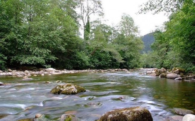 Jornada de sensibilización medioambiental en el río Pas en Piélagos