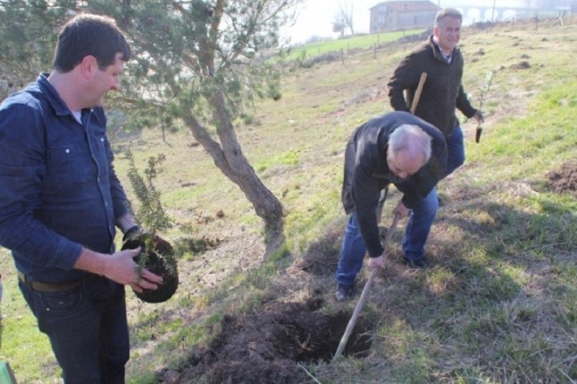Cantabria. Plantan 45 árboles en Pesquera para mitigar la huella de carbono de la Feria del Queso
