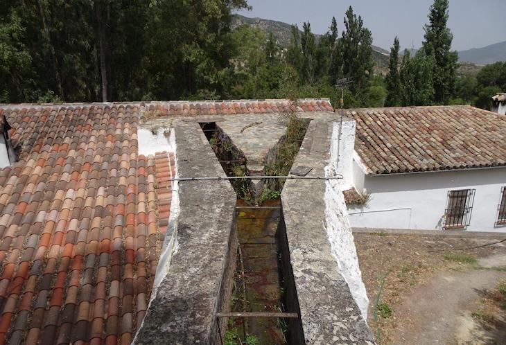 Desecan un arroyo en el Parque Natural Sierra de Grazalema