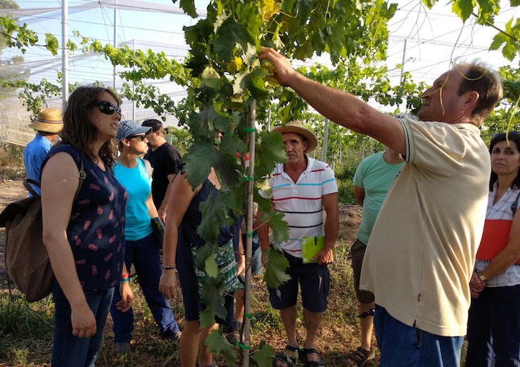 Ayudas y subvenciones para mejorar la cualificación de personas trabajadoras en la economía verde