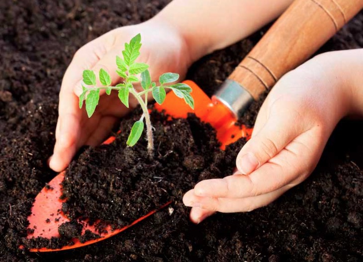 México reactiva el Premio al Mérito Ecológico