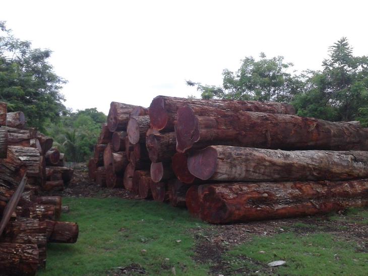 Fundación COPADE trabaja para fomentar el comercio justo y responsable entre Guatemala y España