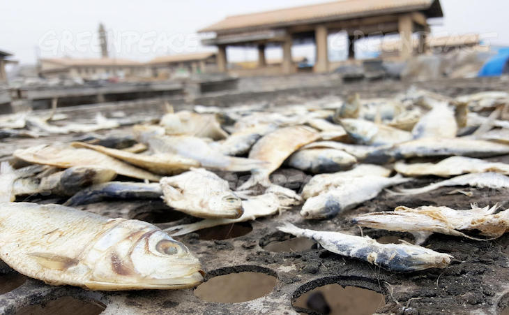 La gran ‘pesadilla’ de la industria europea de harinas y aceite de pescado en África occidental
