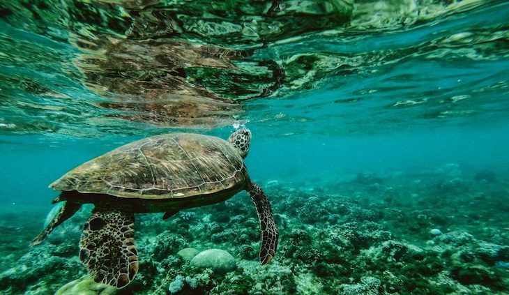 La Red Española del Pacto Mundial apuesta por la economía azul para abordar la  Agenda 2030