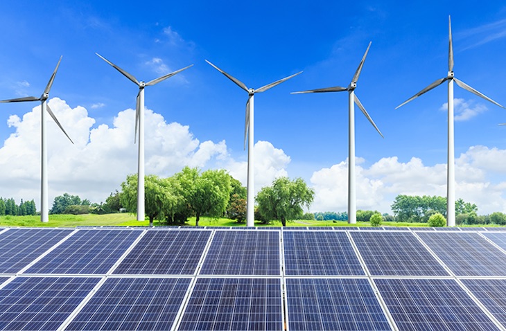 Energías Renovables y Biodiversidad