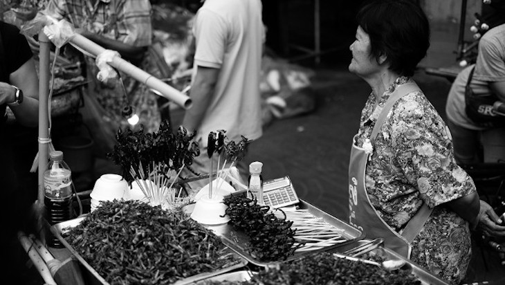 El cambio climático se podría revertir consumiendo unas 2.000 especies de insectos climático