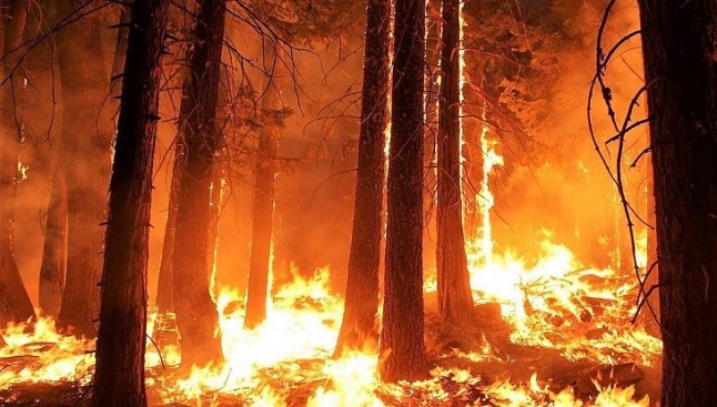Una aplicación predice la propagación y comportamiento de los frentes de incendios forestales