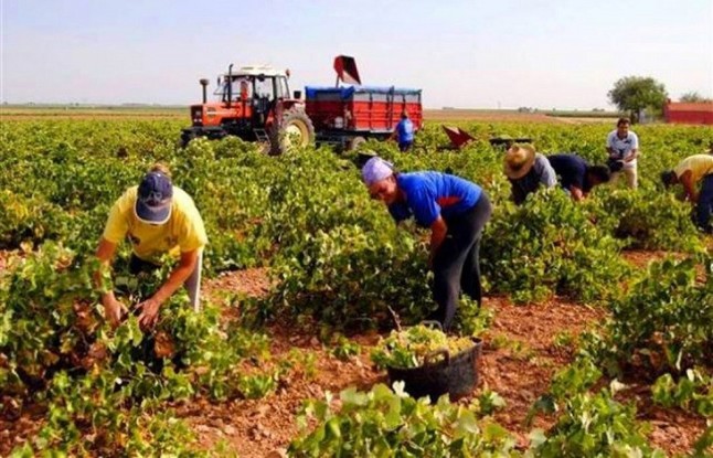 Auditores de la UE critican que la futura PAC no sea más ecológica