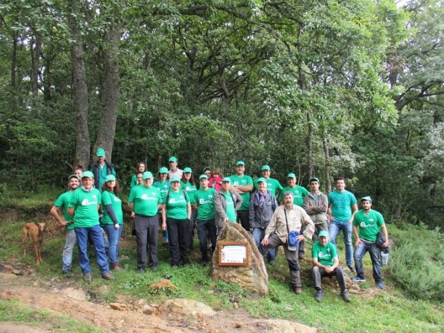 Llegan los jardines verdes a Cantabria