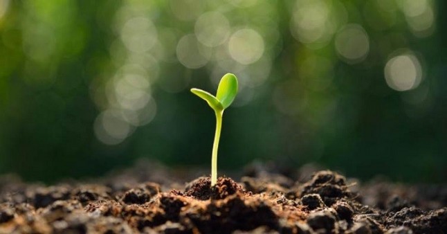 Los cinco mandamientos ambientales que todos los territorios deberían implantar