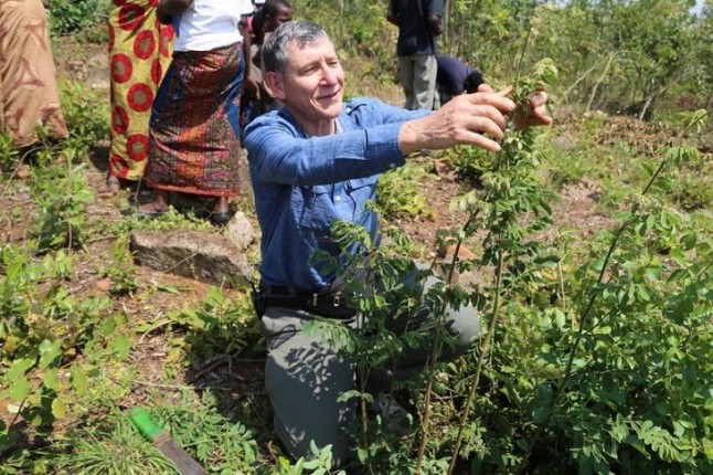 Transformar el desierto africano en 200 millones de árboles