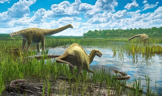 El análisis de fósiles de hadrosaurios en Cataluña revela la edad de su muerte