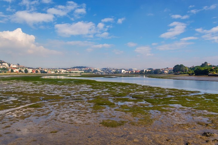 Contratación de las obras de dragado ambiental de la ría de O Burgo