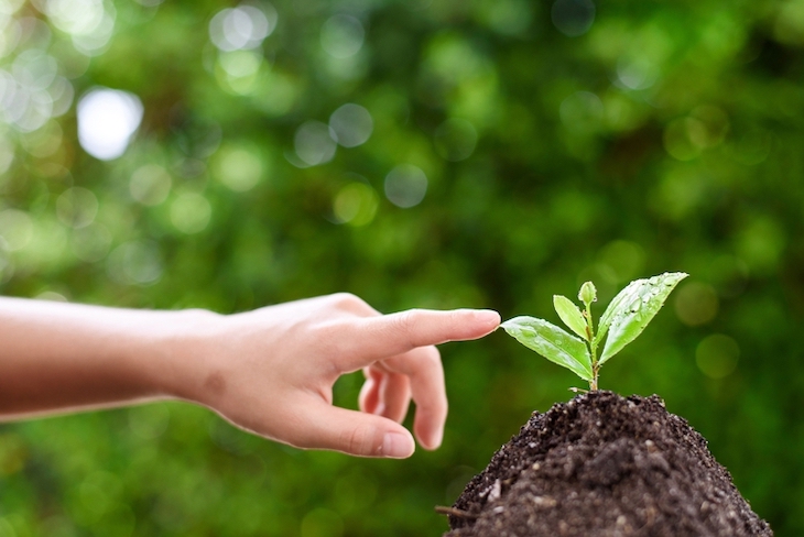 Salamanca da ‘luz verde’ a su estrategia de protección medioambiental