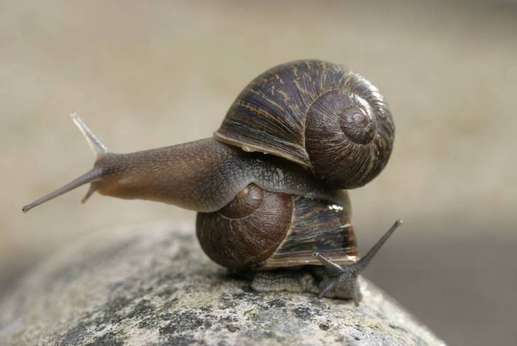 Esta es la historia de Jeremy