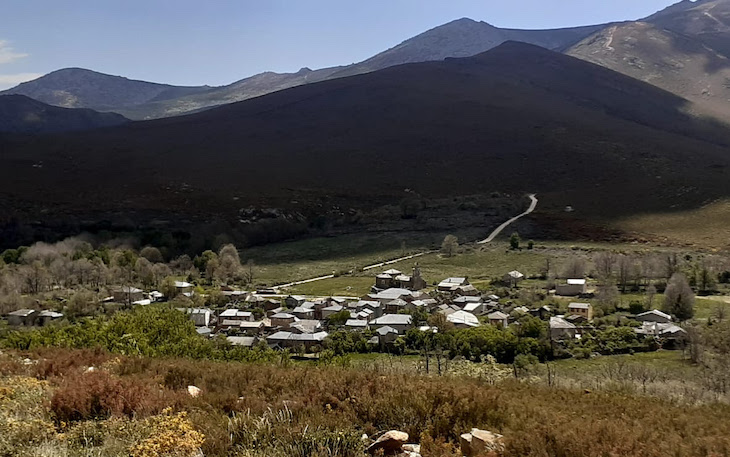 Reforestarán con especies autóctonas en la que pronto será la ‘Reserva Ornitológica de Valdavido’ (León)