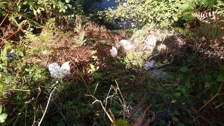 Asturias. La Fiscalía investiga el vertedero de Trubia a las orillas del río Nalón