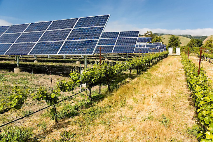 Riego fotovoltaico para una agricultura más sostenible