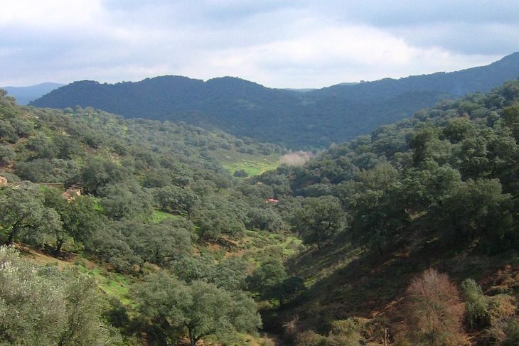 El Parque Natural de la Sierra Norte ‘indefenso’ ante los trasvases