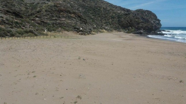 Ecologistas piden al Gobierno murciano que reponga la vegetación "arrasada" en Calnegre