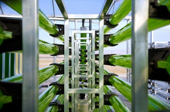 Una jornada en CENER muestra un nuevo modelo de industria vinculado a las microalgas para obtener biodiesel