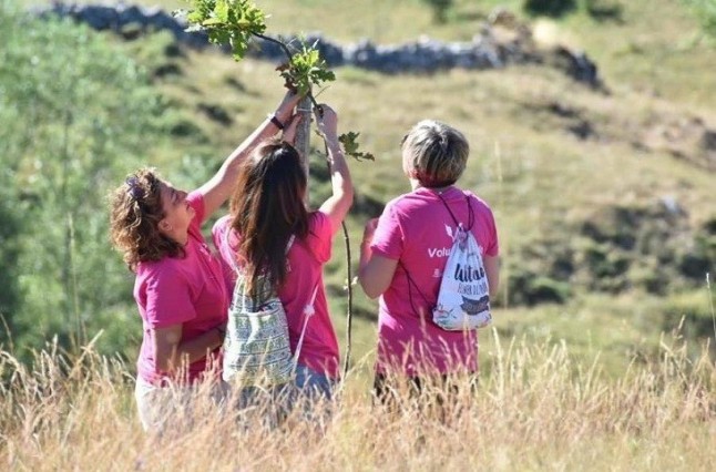 Programa de voluntariado ambiental en la red de áreas naturales protegidas de Castilla y León