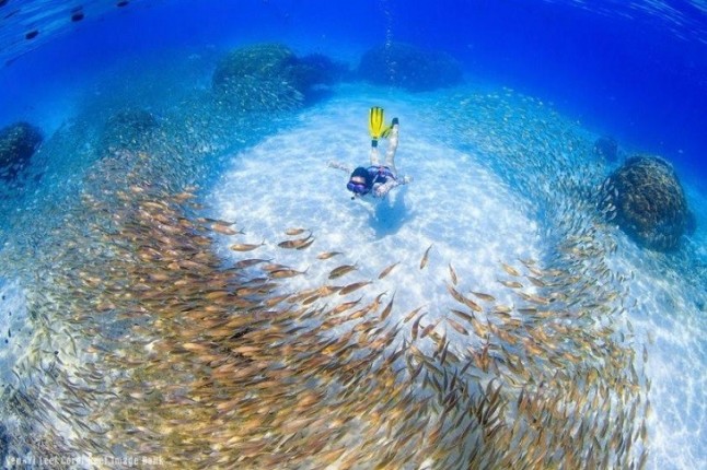 ONU Medio Ambiente lanza una guía práctica para la mejor gestión de las áreas marinas protegidas