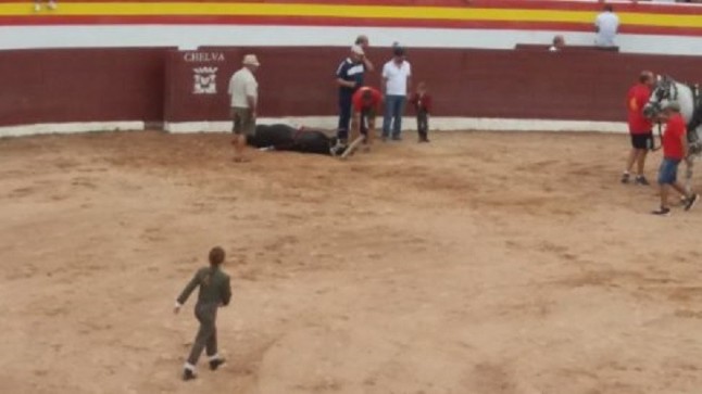 PACMA solicita la inclusión del respeto hacia los animales en la enseñanza obligatoria