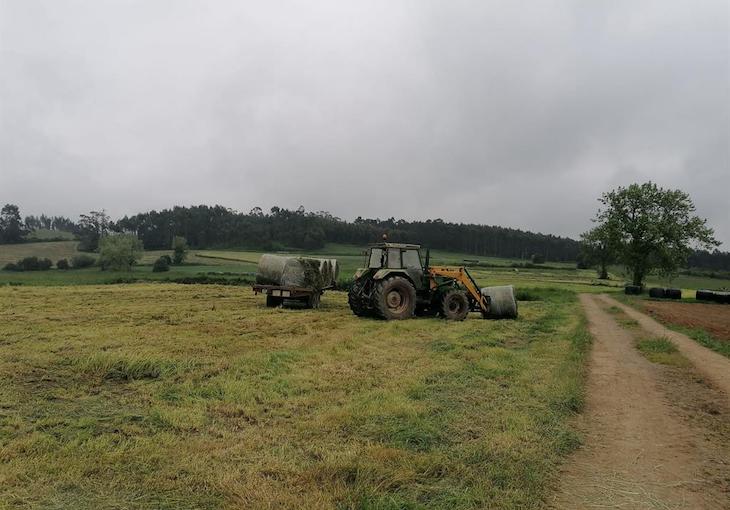 Denuncian cómo se malgastan miles de millones en subsidios agrícolas de la UE