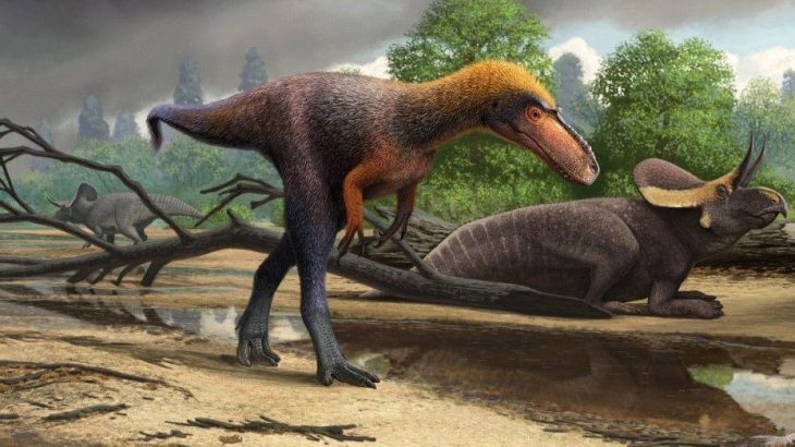 Quiénes sustituyeron a los dinosaurios después de su ‘extinción’