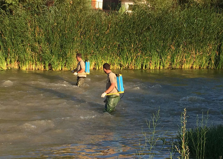 Control de la mosca negra en los Monegros