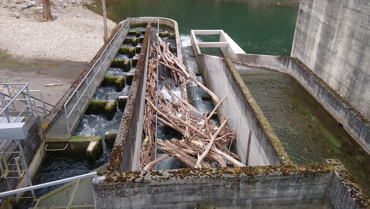 Asturias dice que es bueno que las escalas para peces estén atascadas