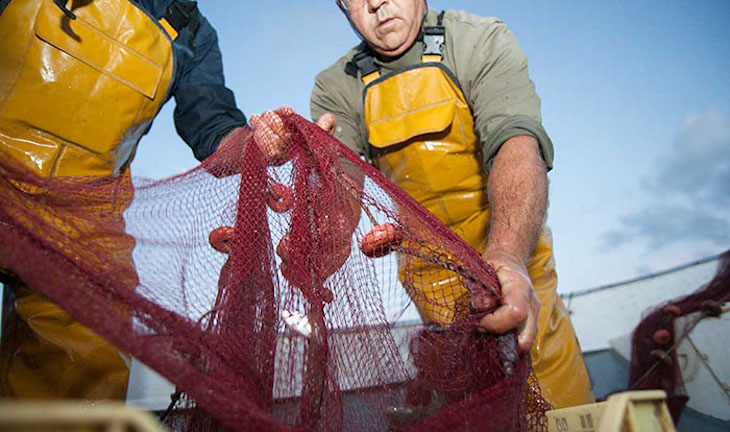 Oceana exige ‘determinación’ en la nueva estrategia de pesca en el Mediterráneo 2030