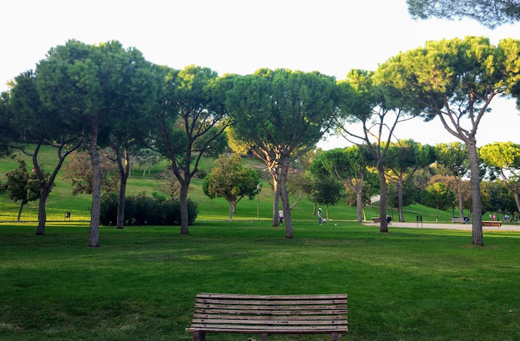 Madrid da luz verde para la inversión en mejoras de la gestión del agua y zonas verdes