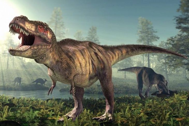 La mandíbula del T. rex
