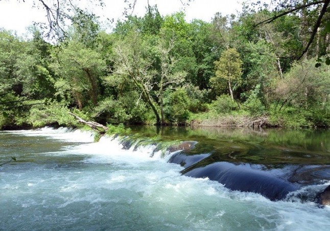Las brigadas deseucaliptizadoras actúan en Cotobade (Pontevedra) con personas "descontentas" del modelo forestal