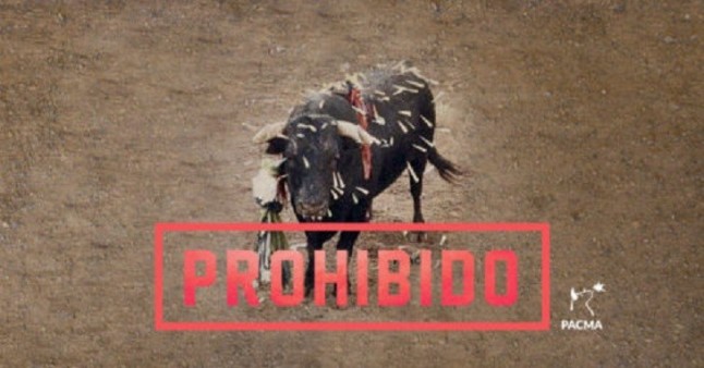 Salvaje maltrato animal al toro de Coria