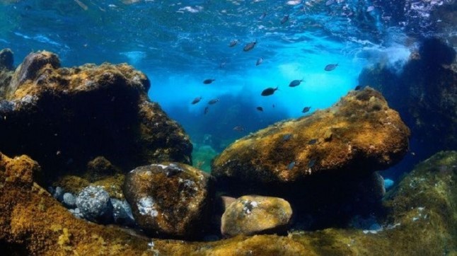 En busca del consenso para la declaración del Parque Nacional Marino de El Hierro
