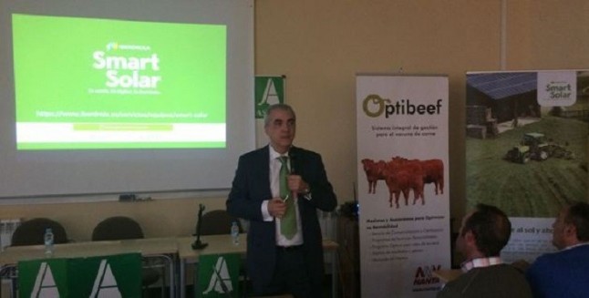 Iberdrola presenta en Vitigudino (Salamanca) una instalación para generar energía solar fotovoltaica